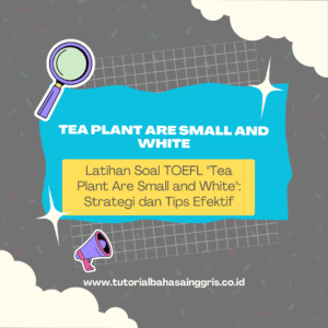 Tea Plant Are Small and White